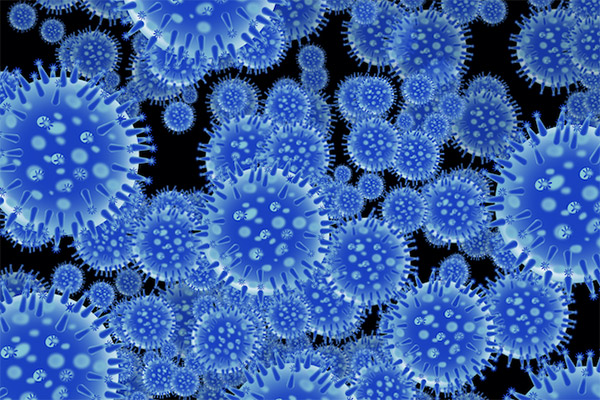 germs