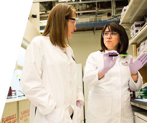 Researchers in lab