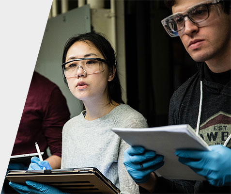 Students in lab
