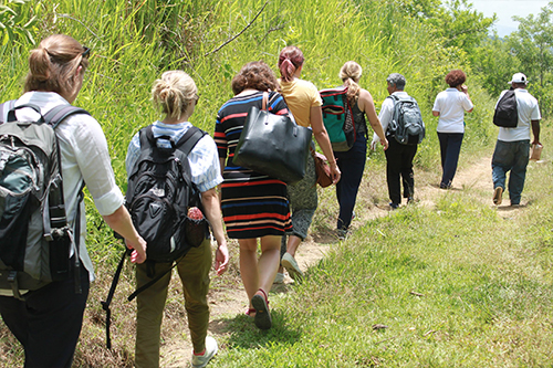 people walking in the woods