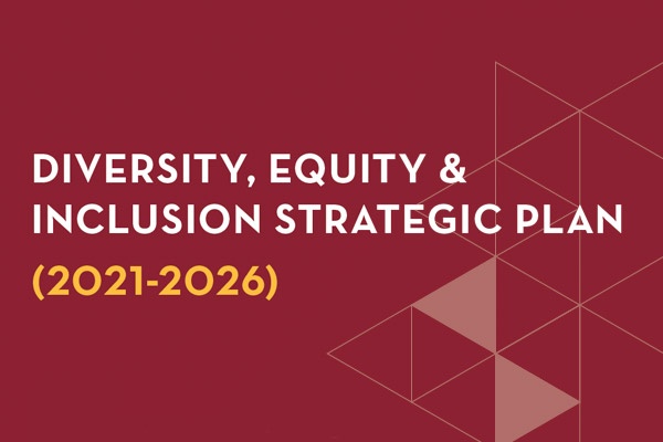 Diversity, Equity & Inclusion Strategic Plan Cover