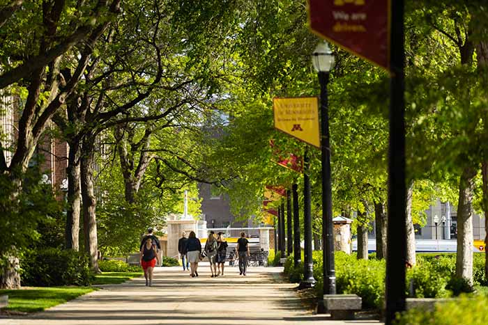 U of M campus in the summer