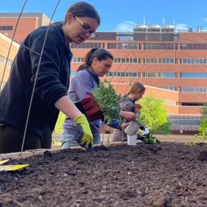 SPH Nutrition Student Rita Stephenson working in the garden