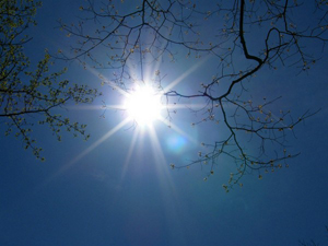 The sun shining in the blue sky.