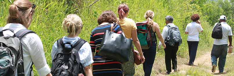 people walking in woods