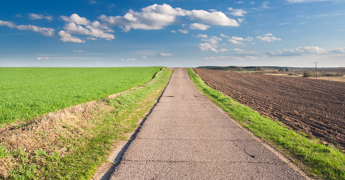 Landscape with rural asphalt road at sunset