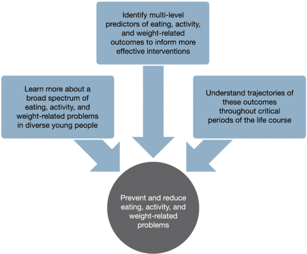 diagram describing study