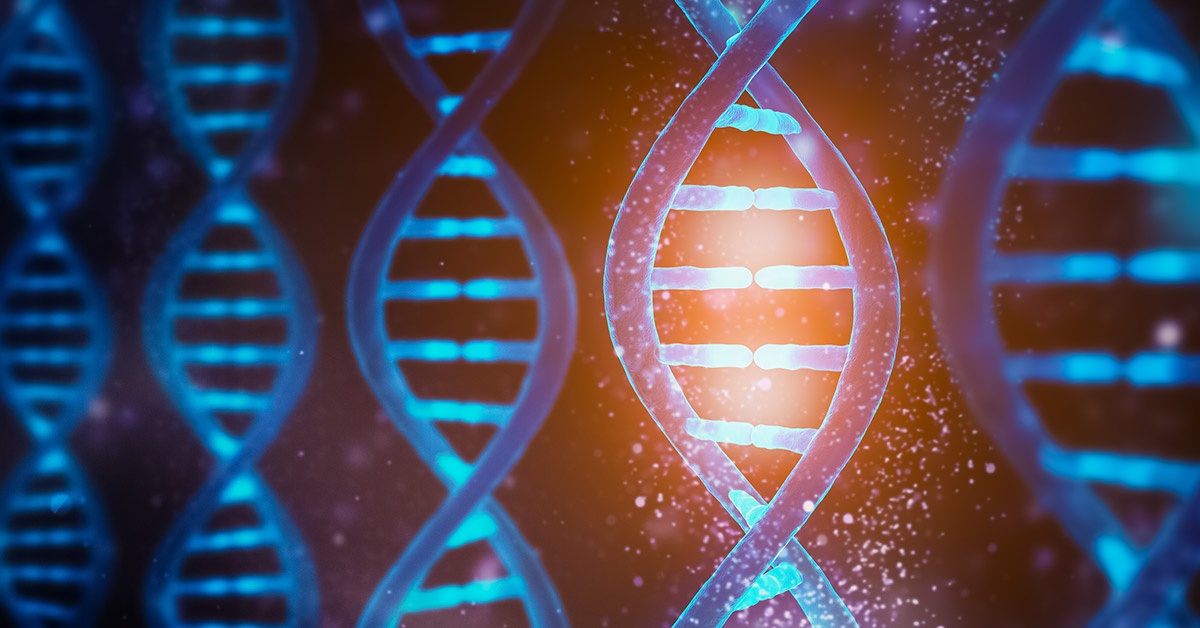 Strands of human DNA
