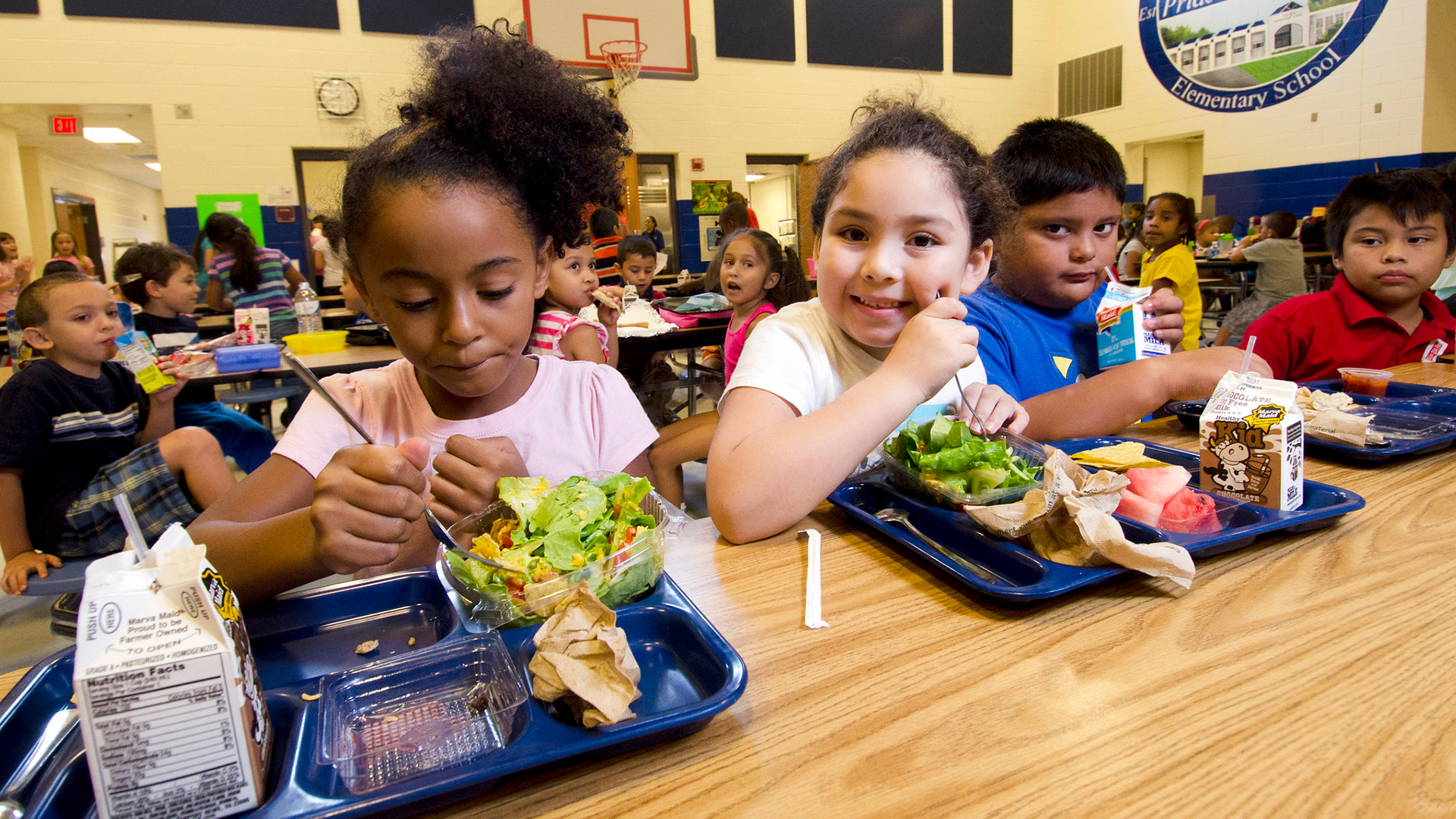 kids at a lunch table