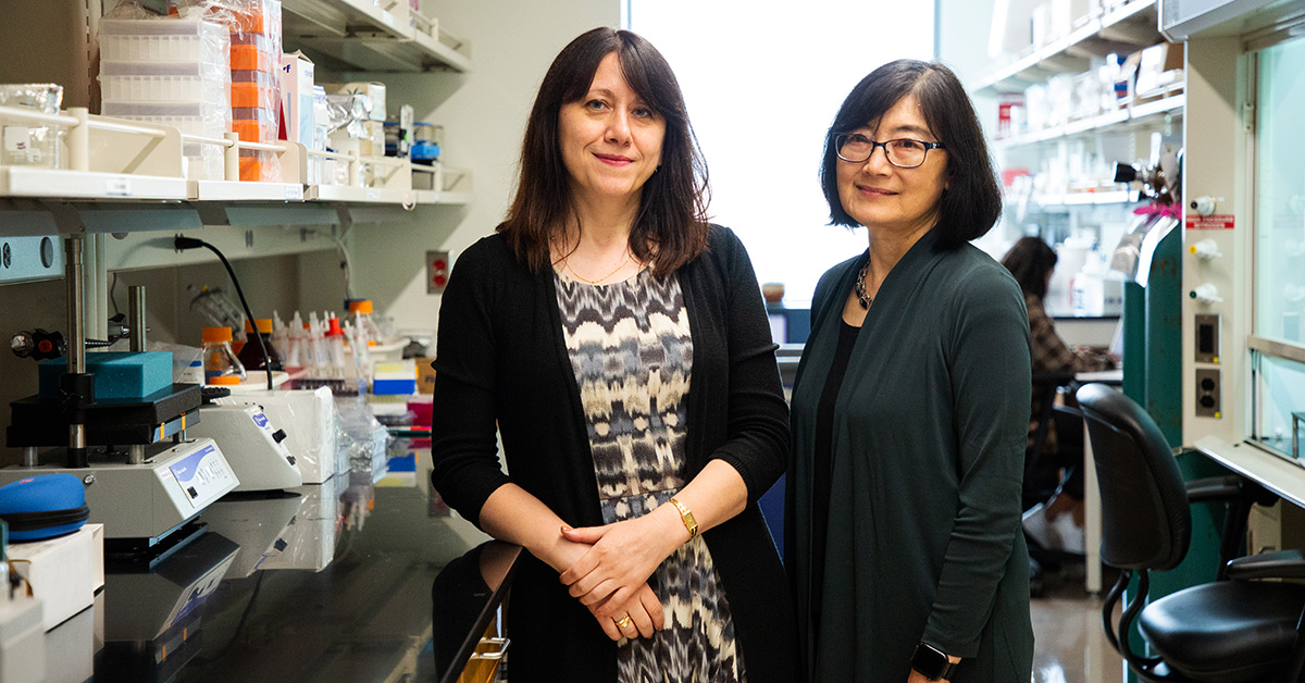 Irina Stepanov and Dorothy Hatsukami standing inside a research lab.