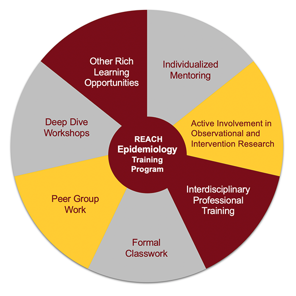 hwp-training-program-pie-graph