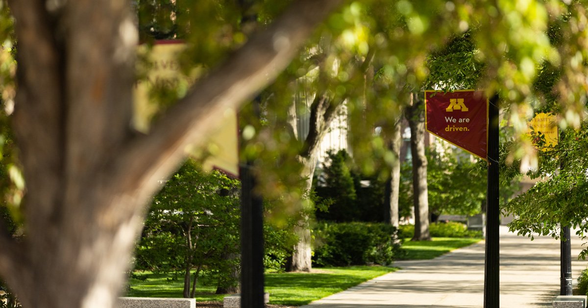 pretty walkway at u of m.