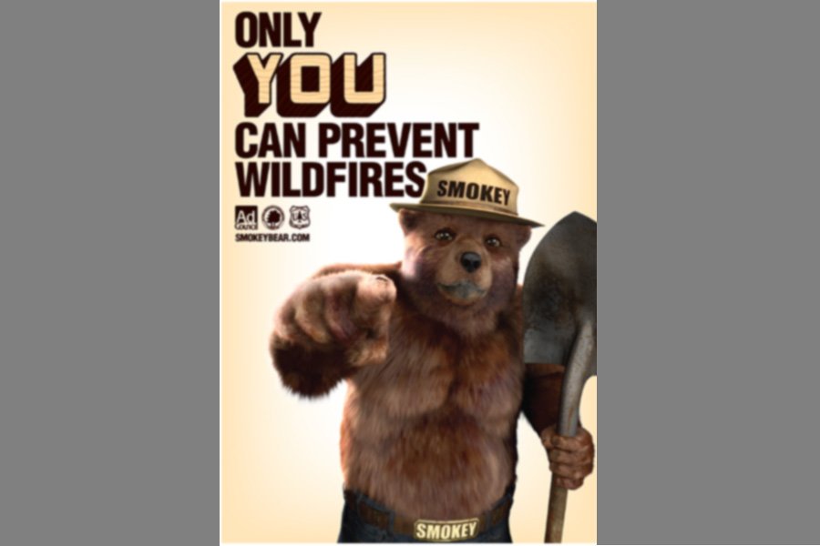 Smoky the bear PSA