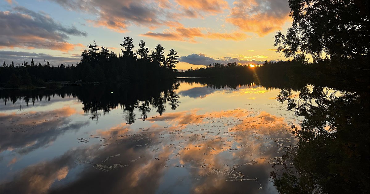 nature scene featuring a lake surrounded by trees at sunset