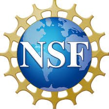 nsf NSF logo