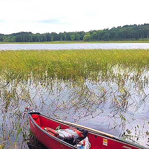 cphs-module-01 canoe in wispy grass on water