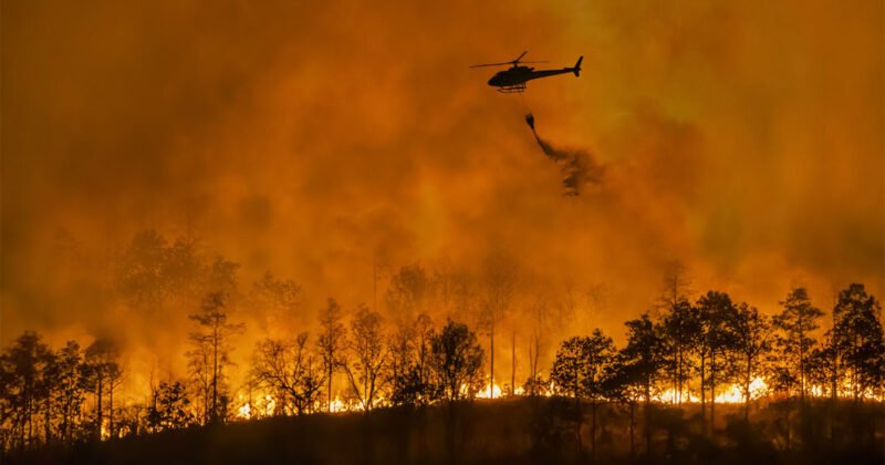 Fire fighting helicopter carry water bucket to extinguish the forest fire.