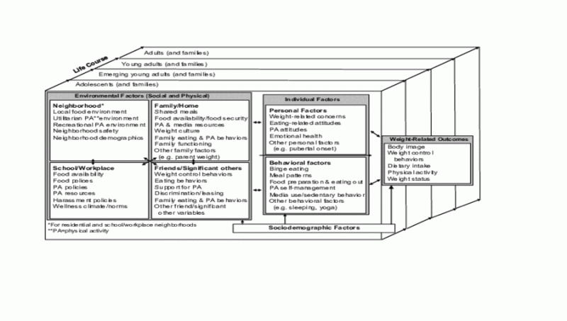 new-eat-210-2018-model