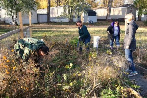 Carver County Health Specialist Tami LaGow and UMN School of Public Health student Sam Rosner help Riverview Terrace residents prepare their gardens for winter. The public health department piloted a community garden initiative in the mobile home park this year. 