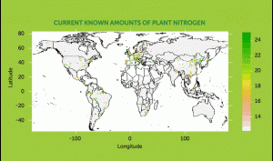 A before and after of known amounts of plant nitrogen using Datta's model.